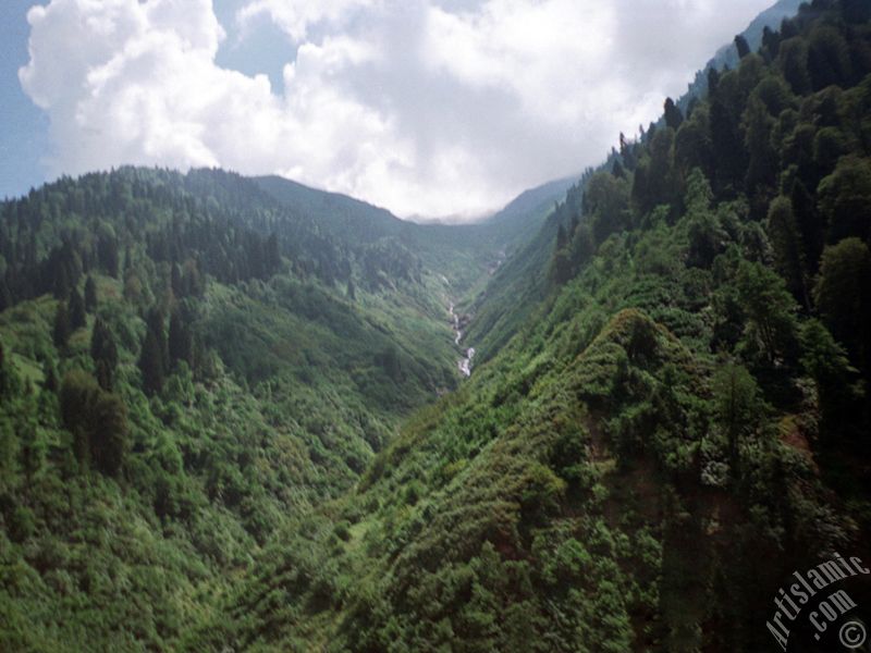 View of Ayder high plateau and spa located in Rize city of Turkey.
