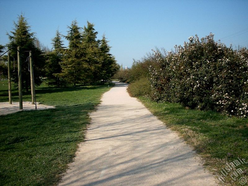 View of Botanical Park in Bursa city of Turkey.
