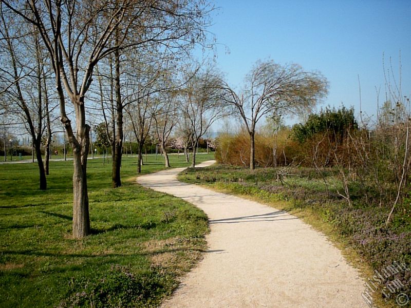 View of Botanical Park in Bursa city of Turkey.
