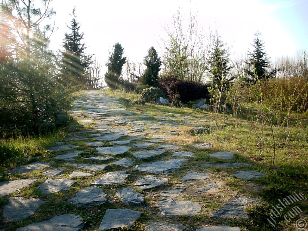 View of Botanical Park in Bursa city of Turkey.
