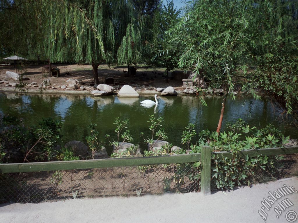 View of Bursa city`s zoo in Turkey.
